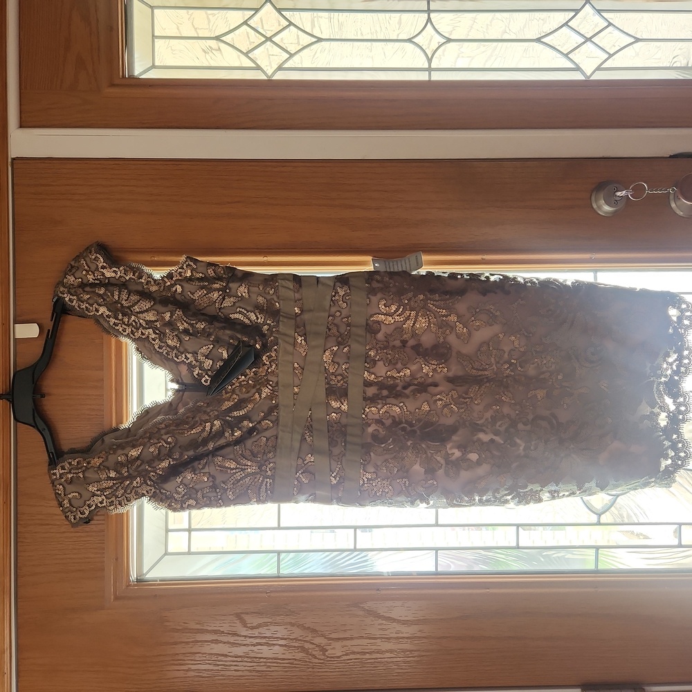 Tadashi Shoji Dress Size 12